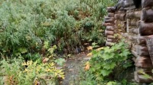 ДВУХЭТАЖНАЯ ИЗБА СЕВЕРЯН | РЕКА КИПИТ ОТ РЫБЫ | ОГРОМНЫЙ ХАРИУС