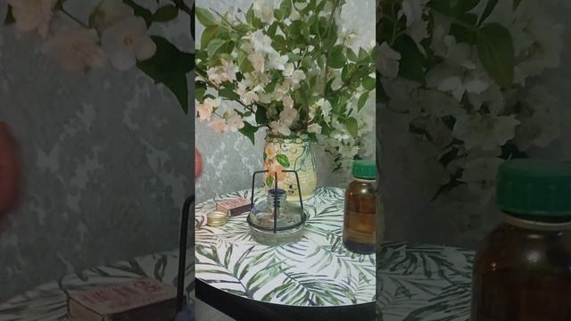 Спиртовка СЛ-2 смотреть онлайн