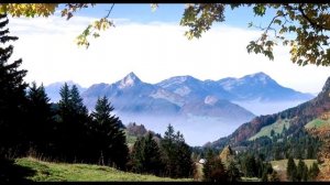 Я выздоравливаю! И никаких сомнений! (для женщин). Настрой Сытина. Читает Александр Бахтин.