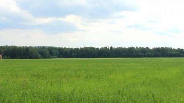 ТРУТОВИК - полезные свойства | Utility Fungi