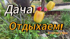 Дача | Отдыхаем! | #13