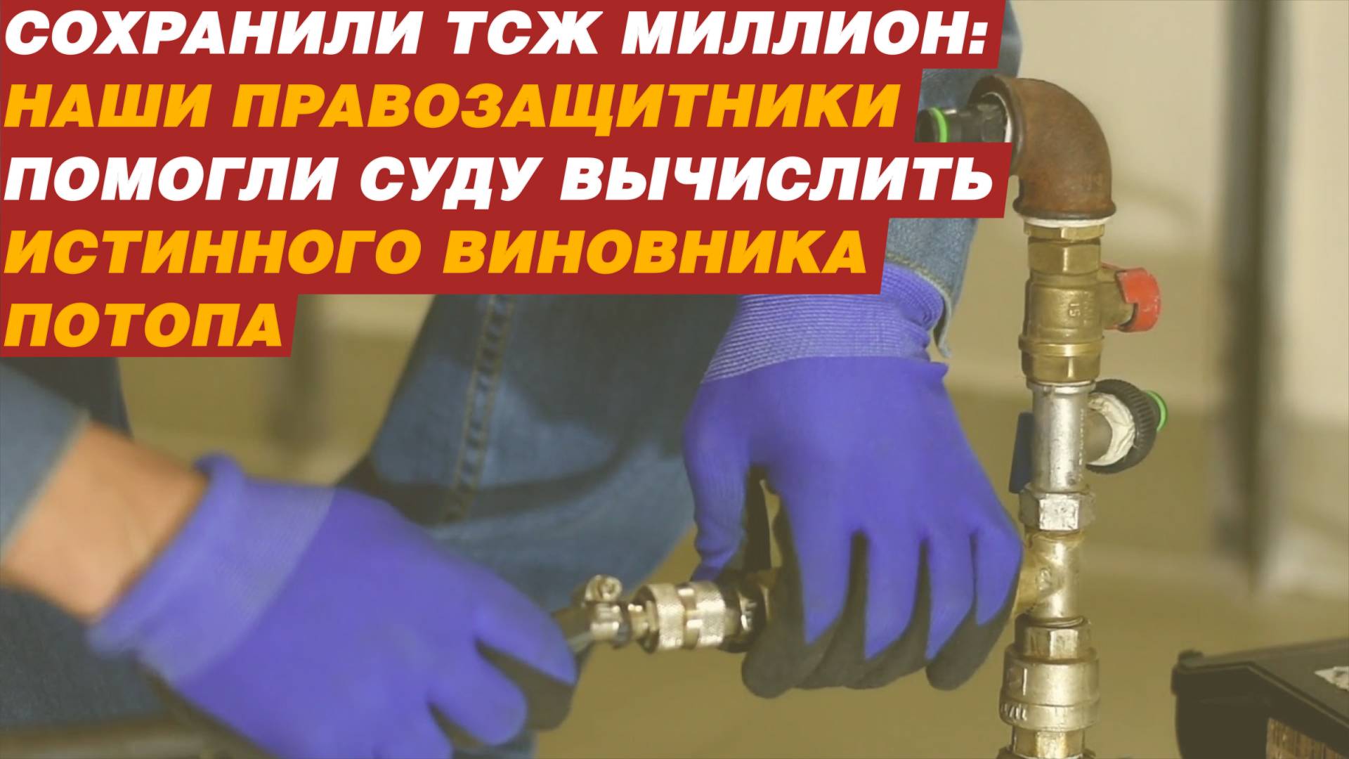 Сохранили ТСЖ миллион: правозащитники помогли вычислить истинного виновника потопа. смотреть онлайн