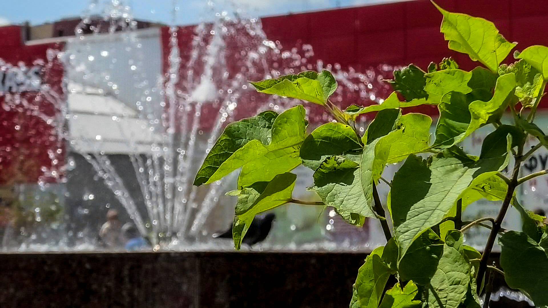 В Волжском на общественных пространствах работают фонтаны смотреть онлайн