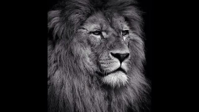 Самый сильный Н💪💛⚘️🌼🌺 смотреть онлайн