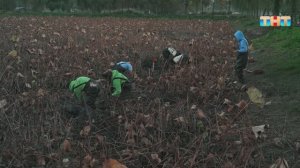 Испытание «Корень лотоса»