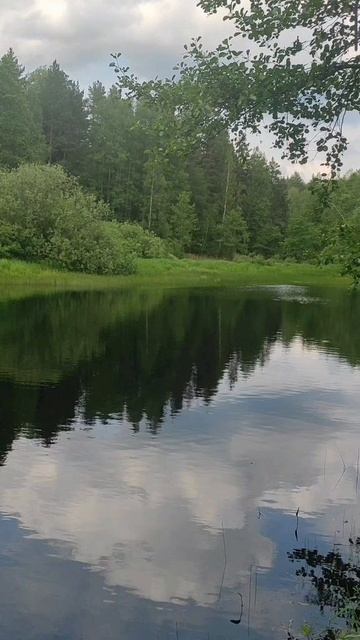 (20) Библия Евангелие от Иоанна глава 6 стих 1-15 смотреть онлайн