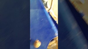 улиточные гонки! и новый ассистент?