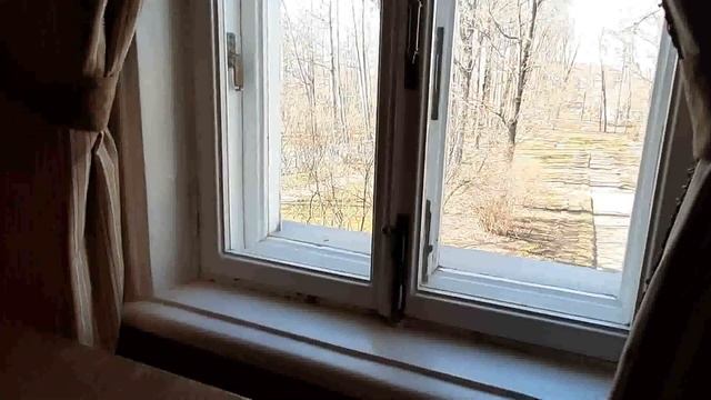 Рабочий стол П.И. Чайковского в спальне композитора смотреть онлайн