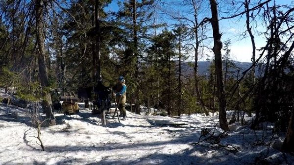 ПРИМИТИВНЫЙ ЛЕСНОЙ СТОЛ | Primitive Forest Table