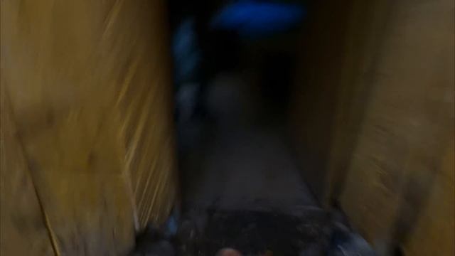 УШЕЛ ЖИТЬ в ЗЕМЛЯНКУ с РЫЖИМ ЗВЕРЕМ - УТЕПЛЯЮ ДОМ ПОД ЗЕМЛЕЙ | КАБАНЫ рядом | Жизнь в ТАЙГЕ - Лесные смотреть онлайн