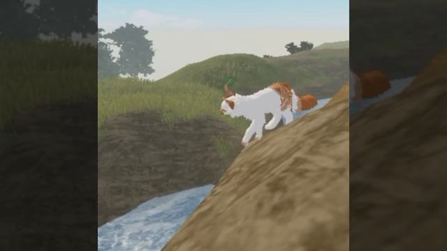 1000008140.mp4 смотреть онлайн