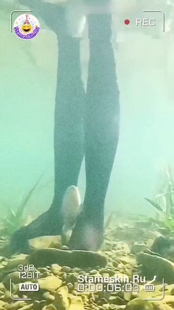 Рыбалка!🎣 😉👍 смотреть онлайн