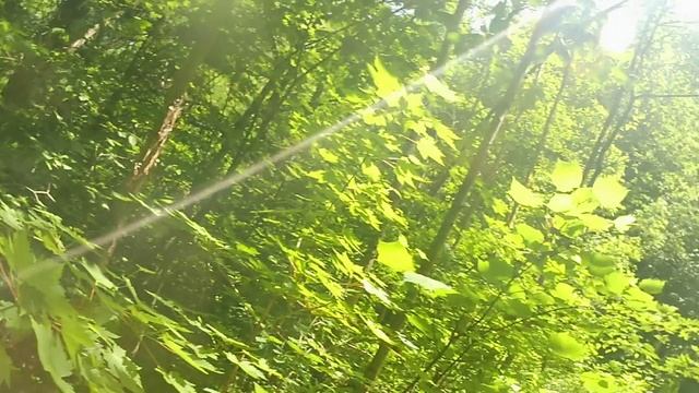 Подьем криничная