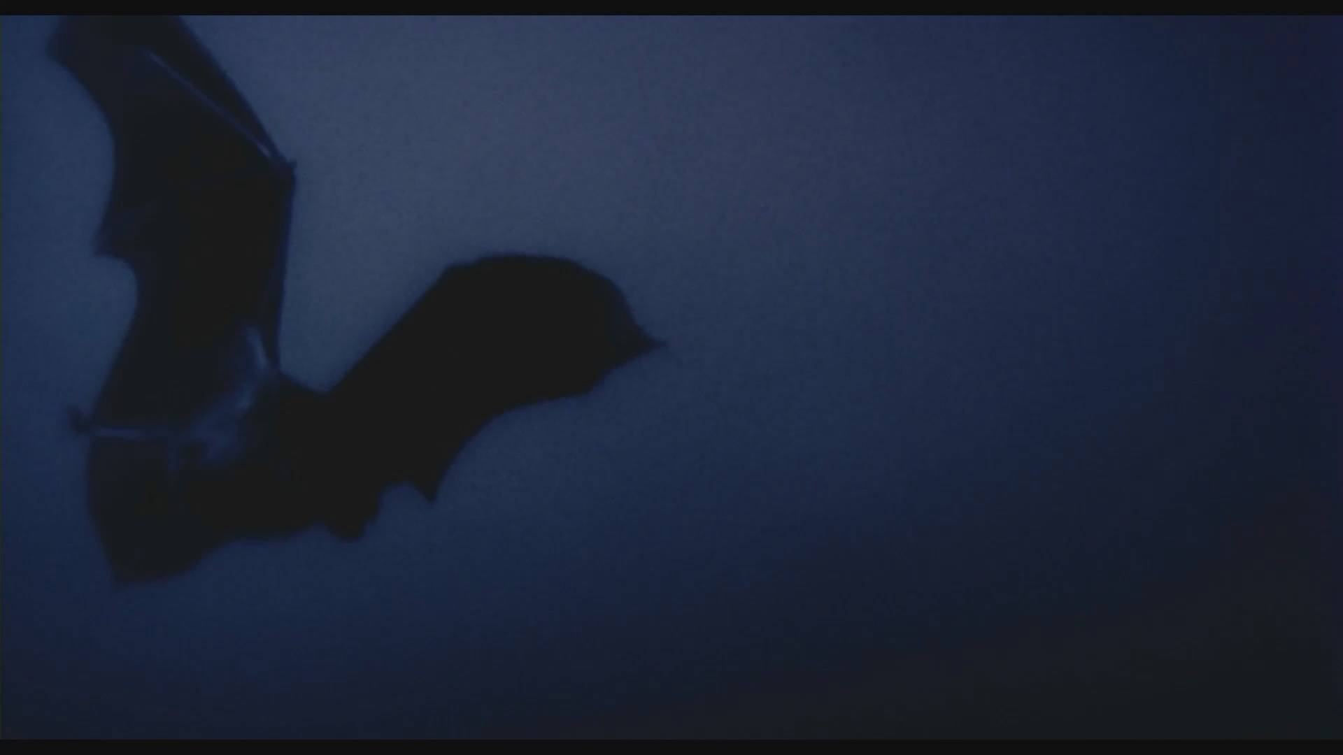 Носферату: Жизнь и смерть в трех фильмах | Трейлер