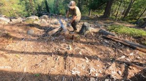 КАМЕННЫЙ ДОМ - Кладем НОВЫЙ КАМИН | ДИКИЙ ЗАЯЦ ГОНЯЕТ ЛОСЯ | НОВАЯ ЛЕСНАЯ КУХНЯ | СПУСТЯ ДВА ГОДА