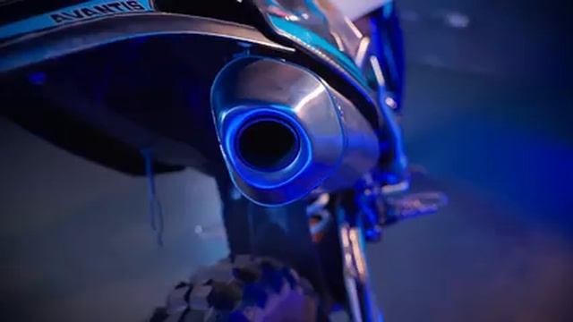 Авантис Эндуро 300