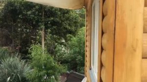 Жильё для отдыха в Алупке