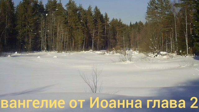 Библия Евангелие от Иоанна глава 20 смотреть онлайн