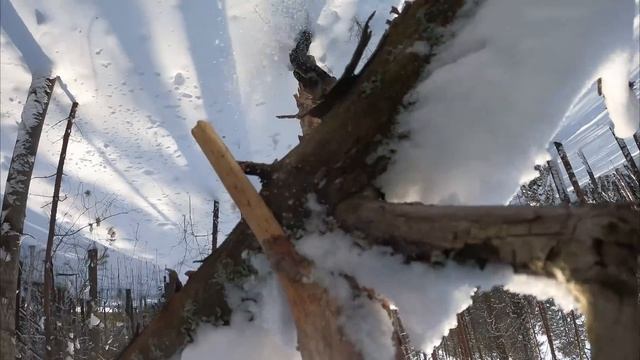 7 ПРОСТЫХ СОВЕТОВ ДЛЯ ЛЕСА - Ночь в ЗИМНЕМ лесу БЕЗ ПАЛАТКИ, КОСТЕР УКРЫТИЕ СВОИМИ РУКАМИ - Бушкрафт смотреть онлайн