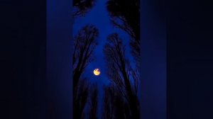 Аранхуэсский концерт  для гитары с оркестром