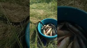 Когда очень сильно хочется кушать