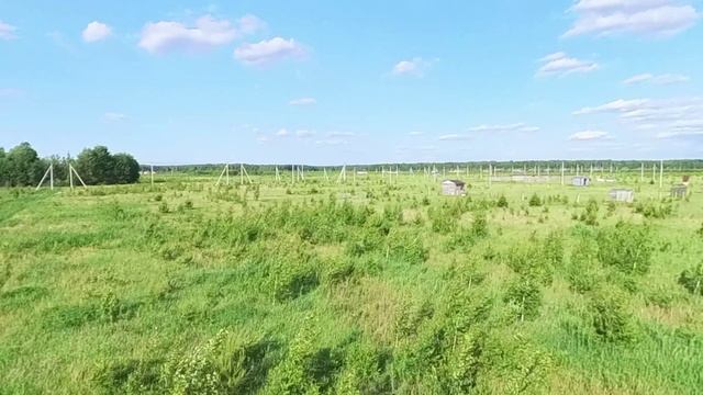 4473460 смотреть онлайн