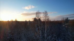 Построили ДОМ В ТАЙГЕ на 2 ЭТАЖА своими РУКАМИ — МЕДВЕДЬ,  КРОВАТЬ и ЗАЩИТА — Строительство ЗАИМКИ