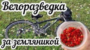 Велоразведка за земляникой 🍓🚴🏻 Ёж и мышонок у меня в гостях 🦔🐭