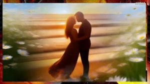 БЕЛЫЕ  РОМАШКИ - гр. Ненси