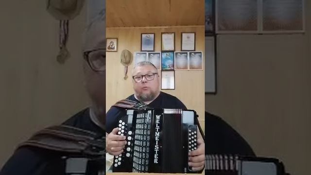 Обзор гармони Вельтмейстер   Weltmester Вельтмастер