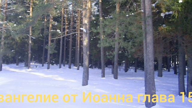 Библия Евангелие от Иоанна глава 15 смотреть онлайн