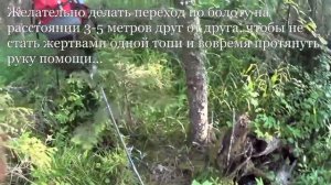 Болото | Правила передвижения | Ловушки | Ощущения | Swamp Adventures