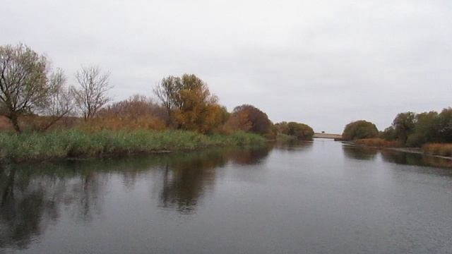 Подвесной мост через реку Сестра в селе Грачев Куст, Перелюбский район.