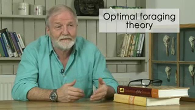 George_McGavin_mixed_part_3_pre_res_new смотреть онлайн