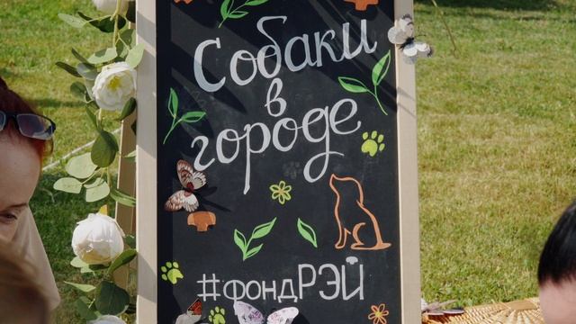 Фестиваль «Собаки в городе» 2025 (автор Сергей Томилин) смотреть онлайн