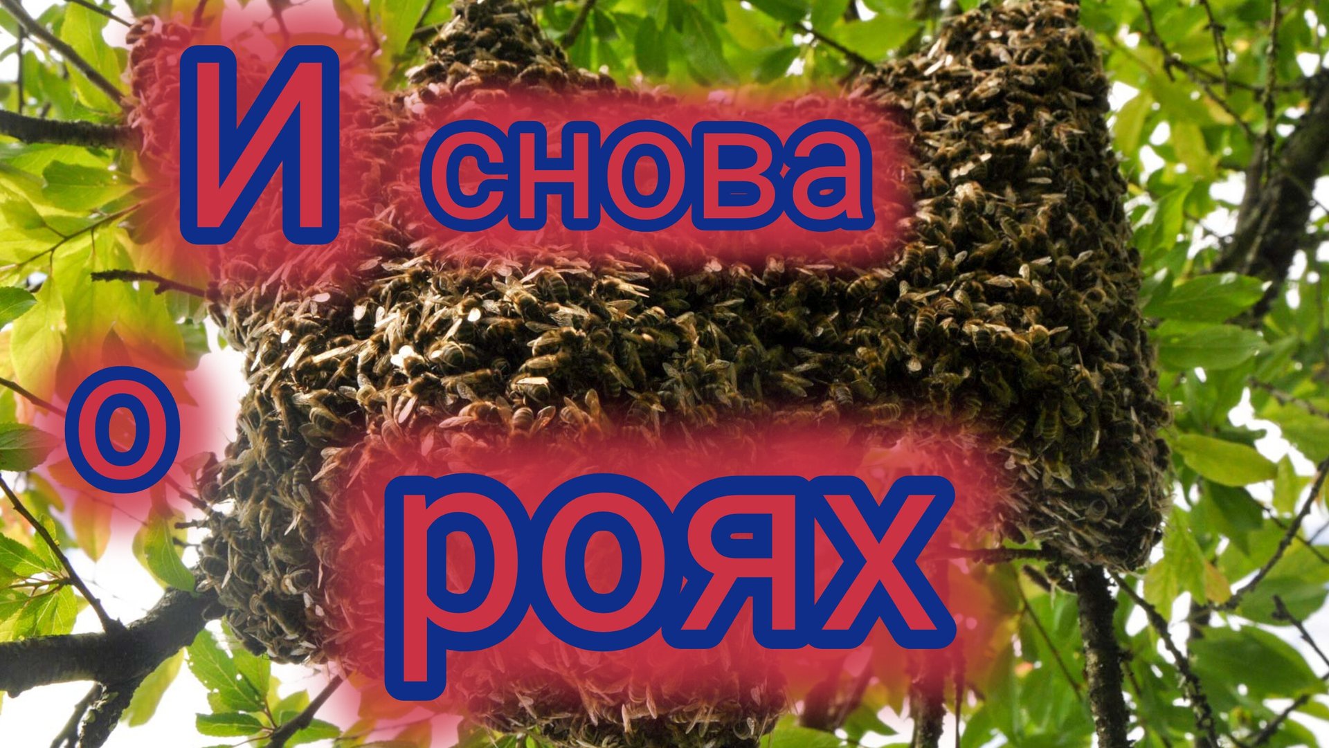И снова о роях 🐝 смотреть онлайн
