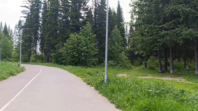 НИЖНИЙ ТАГИЛ Лесопарковая зона Пихтовые горы 🌲 смотреть онлайн