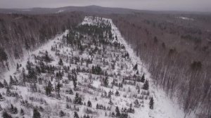 ВЫЖИВАНИЕ В ЛЕСУ ЗАКОНЧИЛОСЬ: Маленькая ИЗБА стала УЮТНЫМ ДОМОМ | Ночь В ЛЕСУ в "-30"