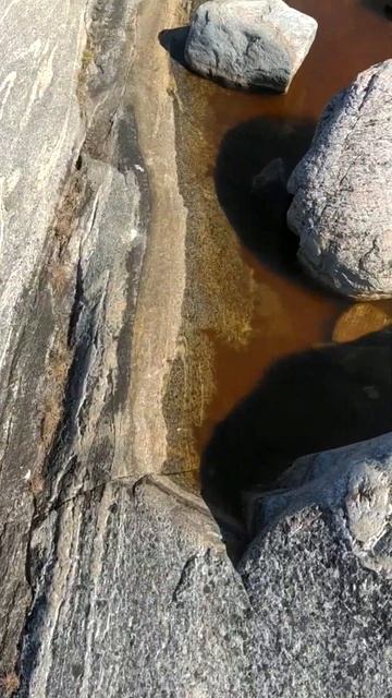 Почему лужа красного цвета? Белое море, остров Косьян смотреть онлайн