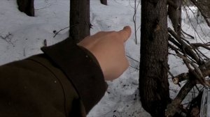 ЛАГЕРЬ В ТАЙГЕ - БУШКРАФТ | 3 ВИДА МЯСА - БОГРАЧ | РЕБРА НА ОГНЕ | КРОВАТЬ НА ДЕРЕВЕ | РЫЖИЙ ЗВЕРЬ