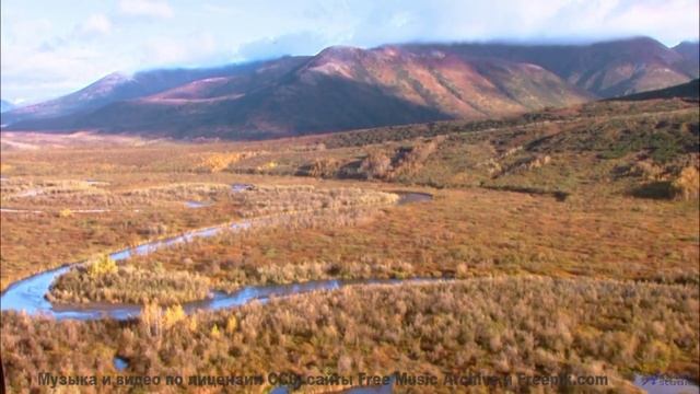 Бескрайние степи и бесконечный вайб! - The Karmic Brainseed Wheel -- Omniman -- Unnamed Album