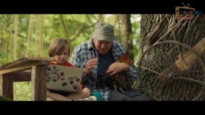 НА ДЕРЕВНЮ ДЕДУШКЕ. Премьера семейной комедии с Юрием Стояновым