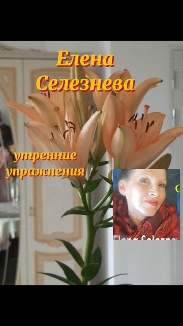 #eveaselezneva#утренниеупражнения