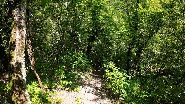 DJI_0020 смотреть онлайн
