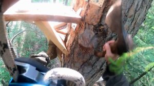 СТРОИМ ДОМ НА ДЕРЕВЕ с ОТОПЛЕНИЕМ И ТЕРРАСОЙ - РОЖДЕНИЕ ЛЕГЕНДЫ в ЛЕСУ! СВОИМИ РУКАМИ