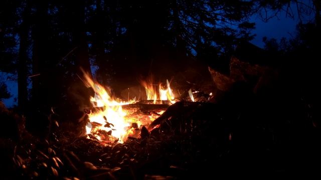 БЕЗ СНАРЯЖЕНИЯ ОДИН В ТАЙГЕ | НАЙТИ ЕДУ И ВОДУ | ПОСТРОИТЬ УКРЫТИЕ | РЕАЛЬНОЕ ВЫЖИВАНИЕ смотреть онлайн