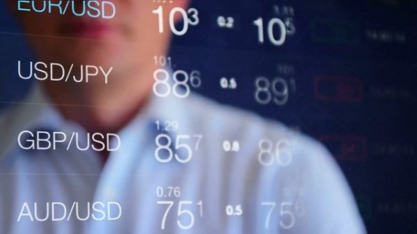 Educational Resources for Beginners