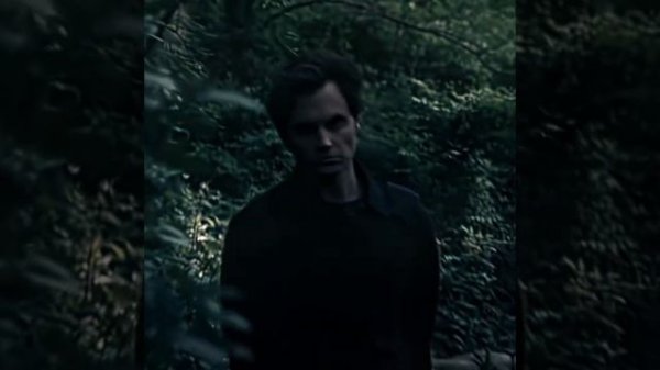 JOE GOLDBERG | YOU S5 | bodato