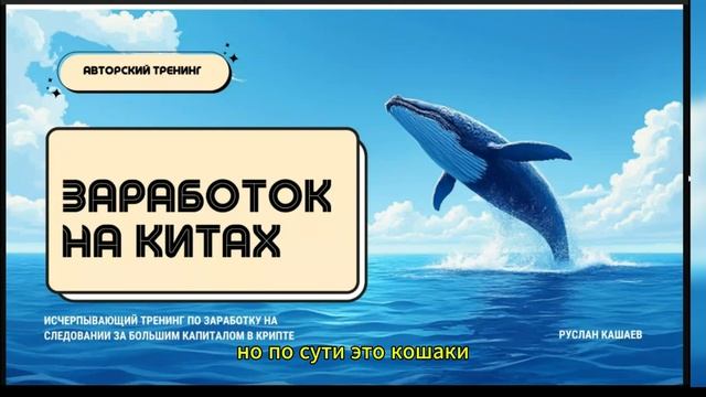 0 ИДЕЯ (БОЛЬШОЙ КАПИТАЛ НА КИТАХ) смотреть онлайн