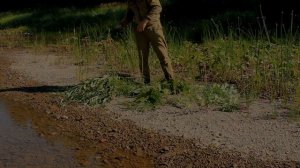 ЛОВУШКА ДЛЯ РЫБЫ - КАПКАН ИЗ ТРАВЫ | Grass Fish Trap